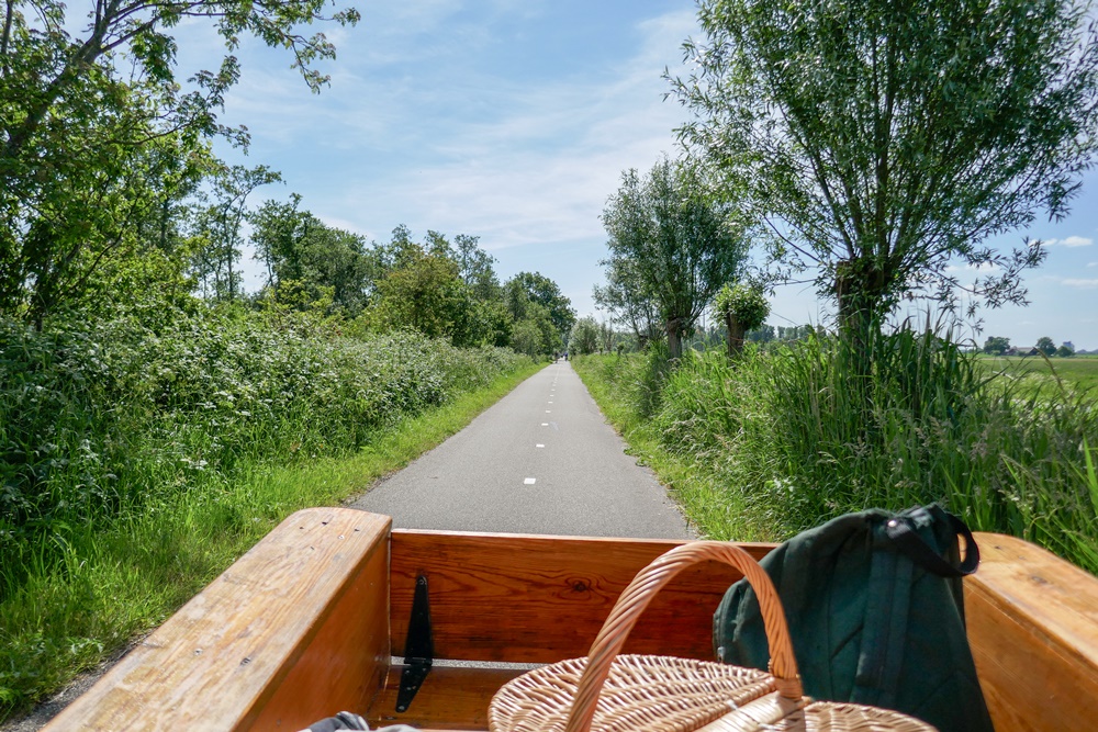 Fietspad richting Zoetermeer met gras en knotwilgen, gezien uit de bakfiets